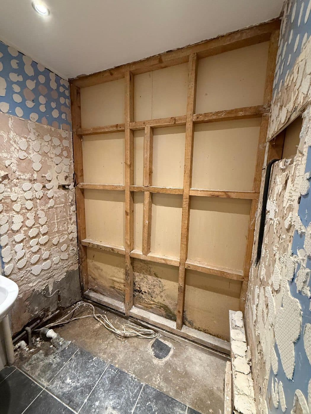 Bathroom Renovation before