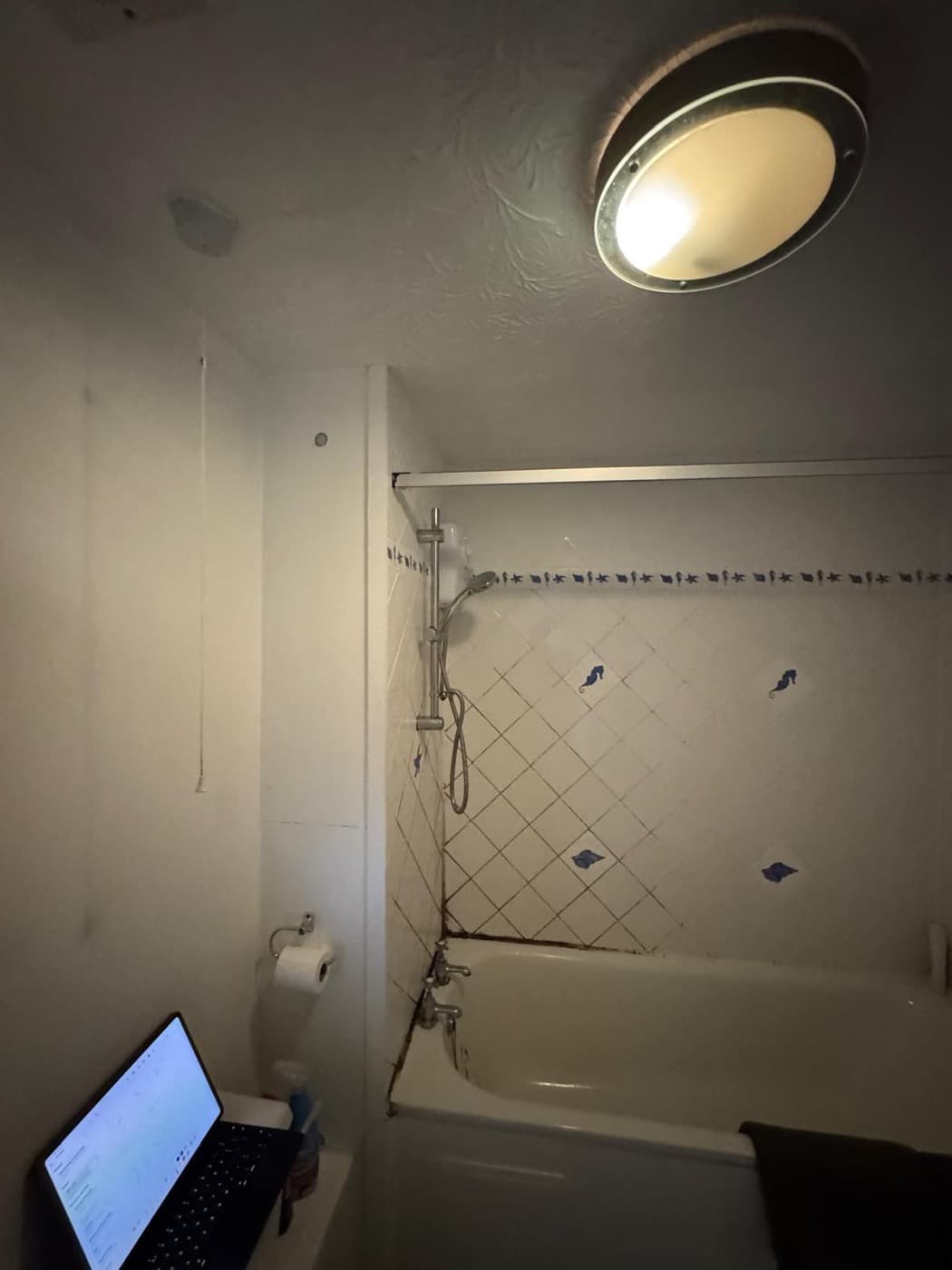 Marble Family Bathroom before